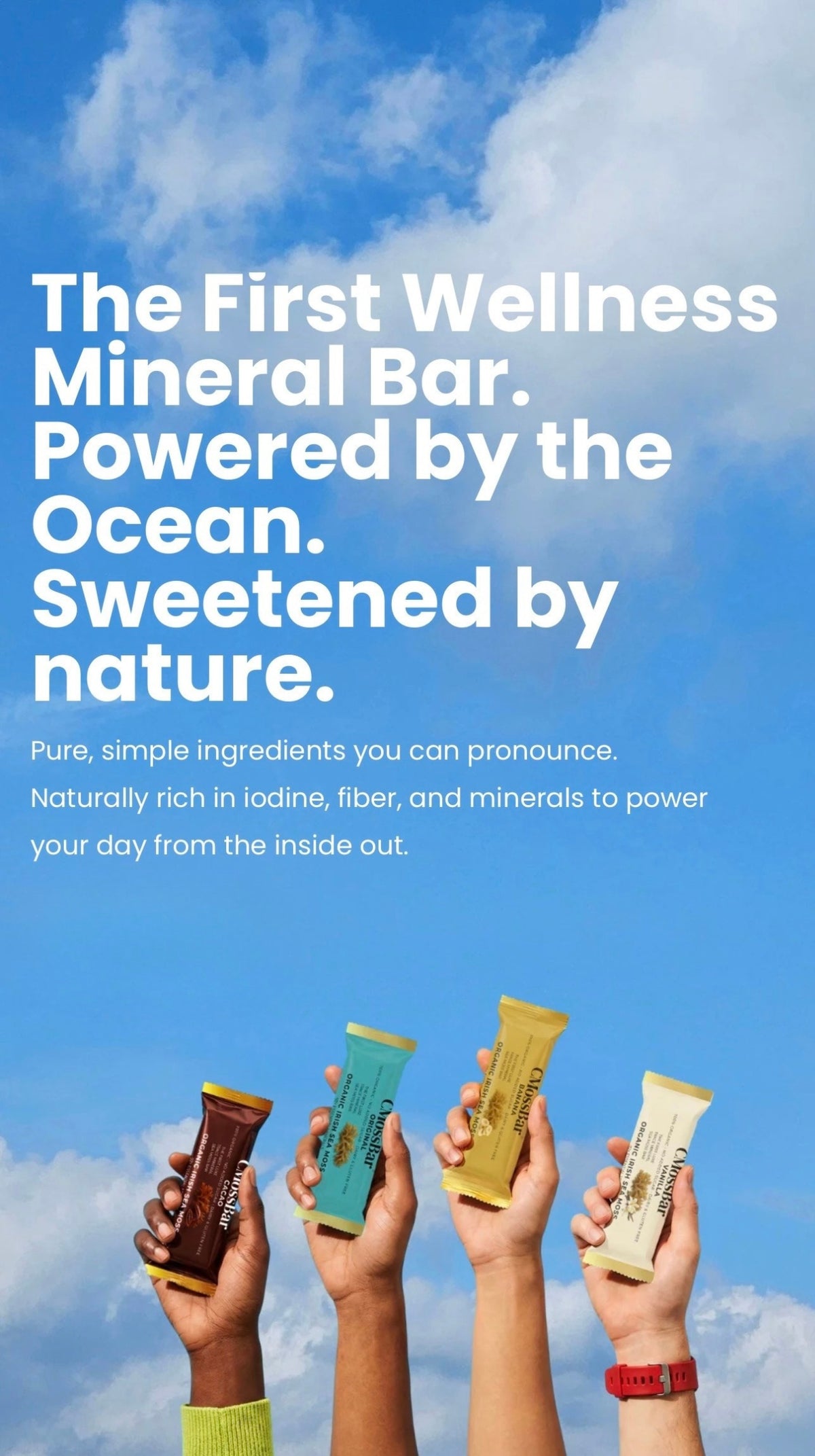 Organic Sea Moss snack bar — Energy & Mineral Snack Bar | 4 Flavors, Gluten-Free, No Refined Sugar